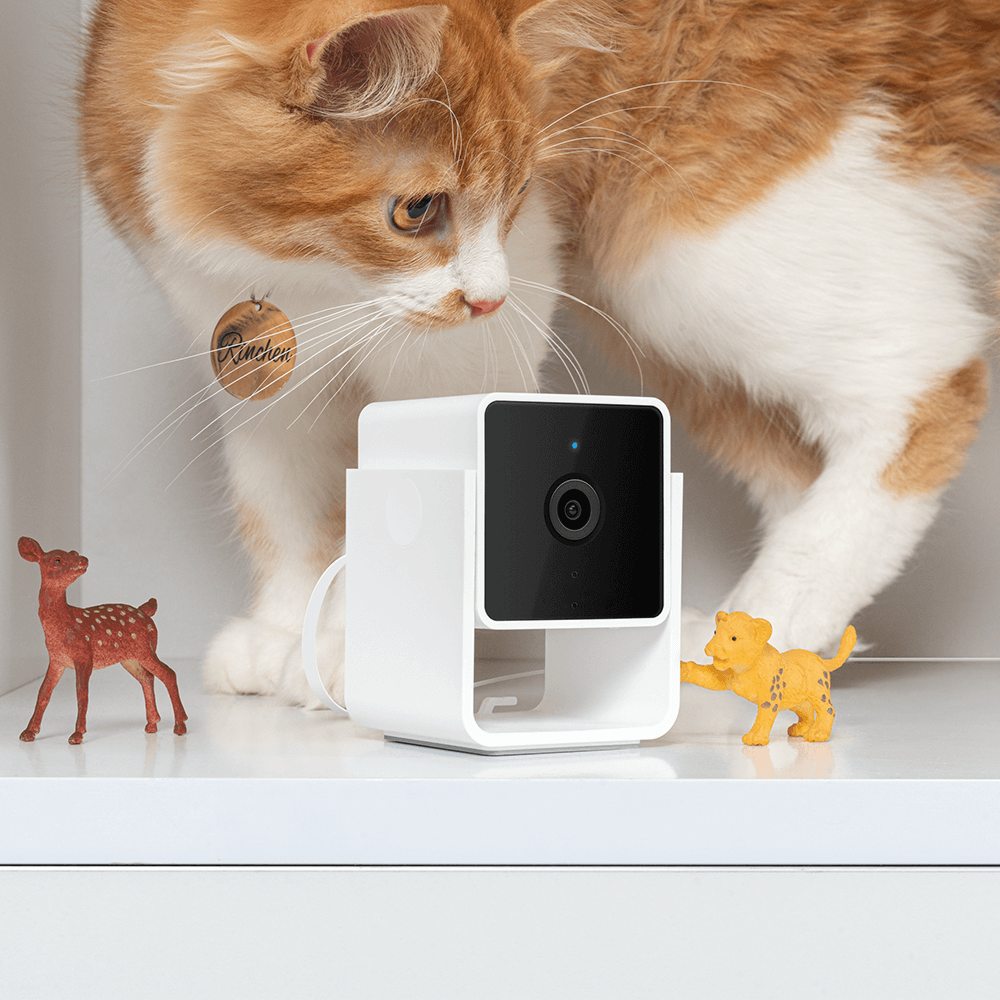 Pet Monitoring Camera