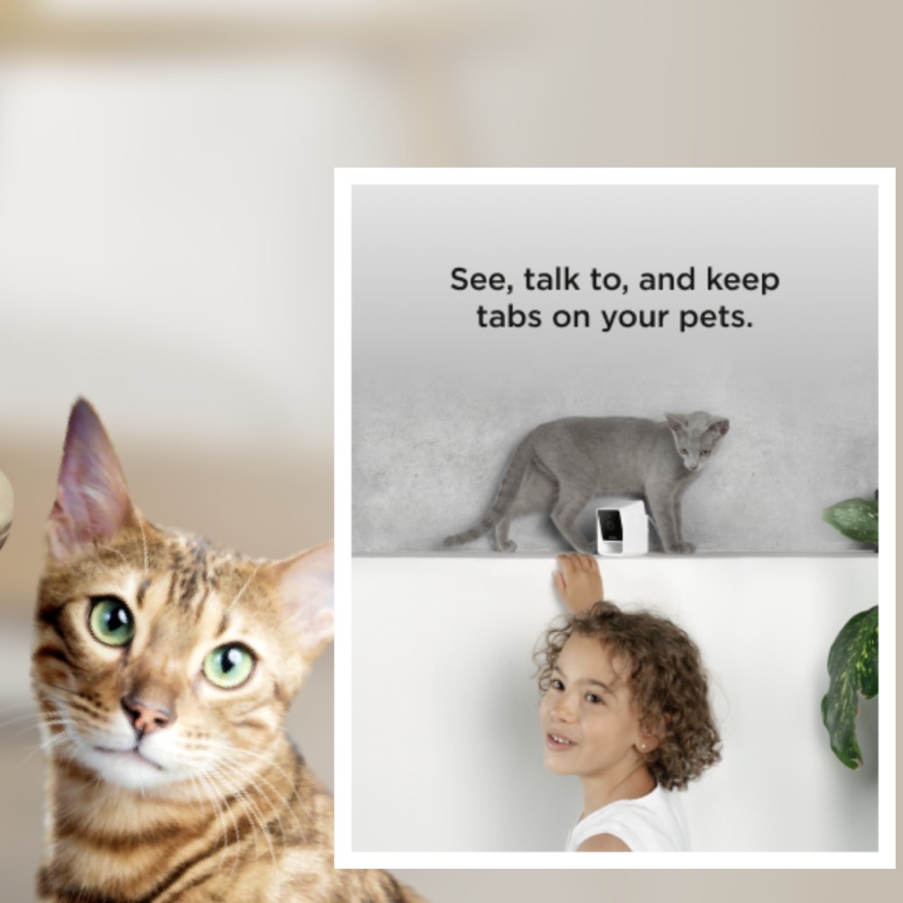 Pet Monitoring Camera