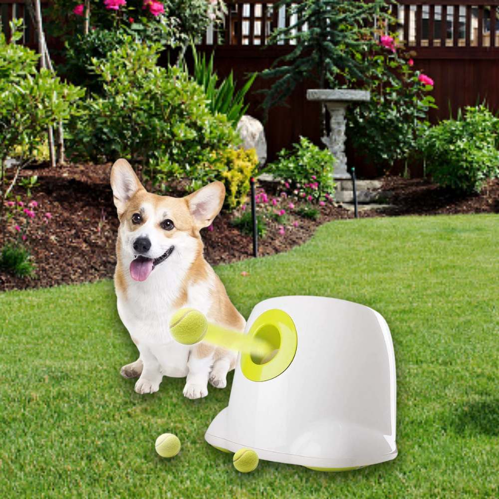 Automatic Dog Ball Launcher