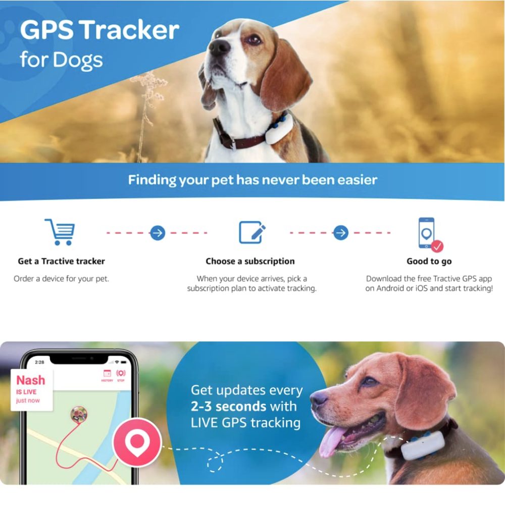 GPS Dog Tracker