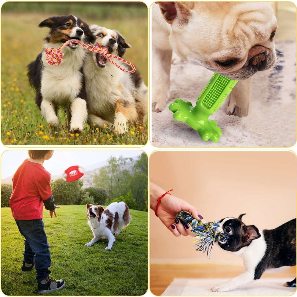 Puppy Dog Chew Toys