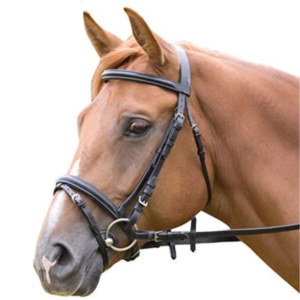 Comfort Headpiece Bridle