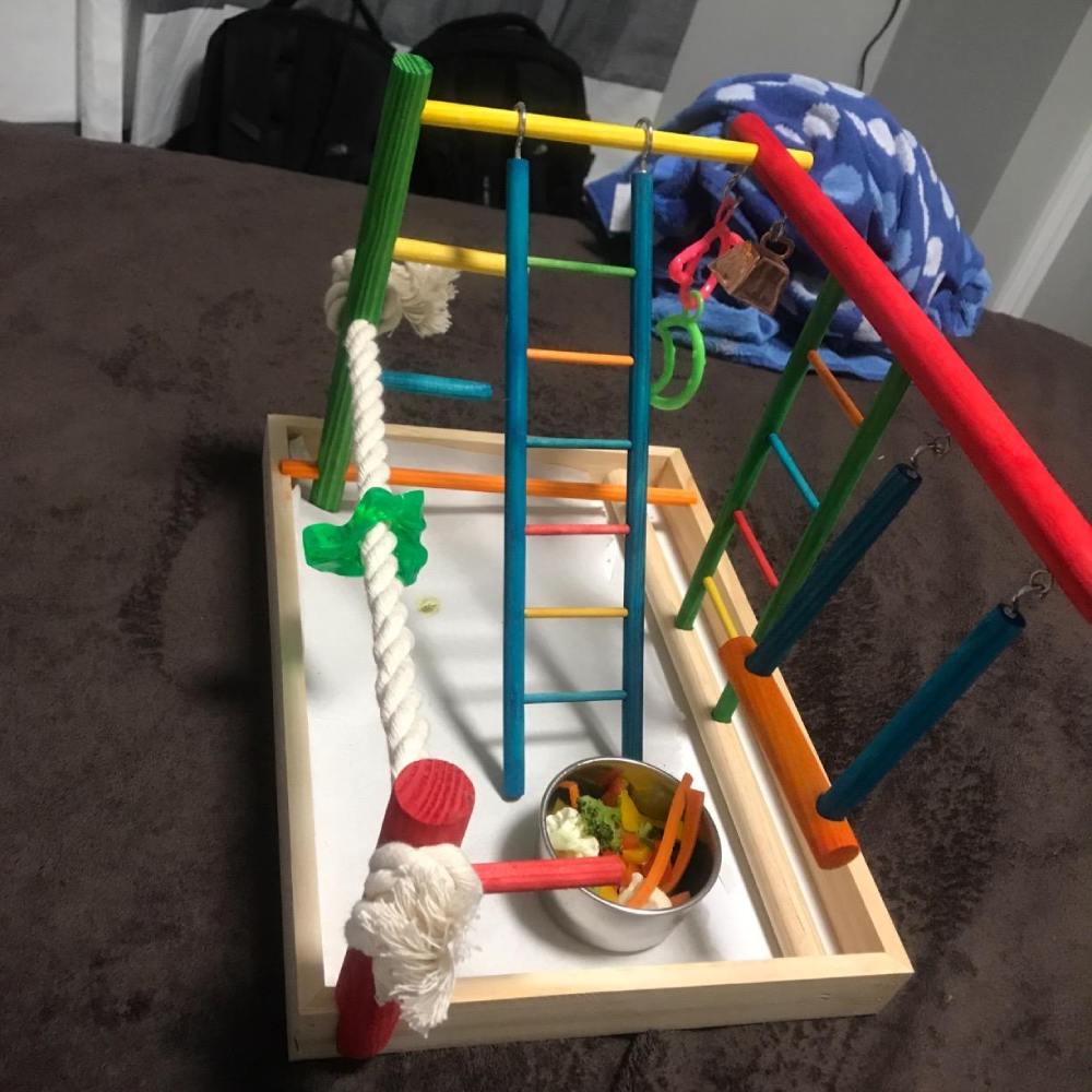 Bird Wooden Playpen