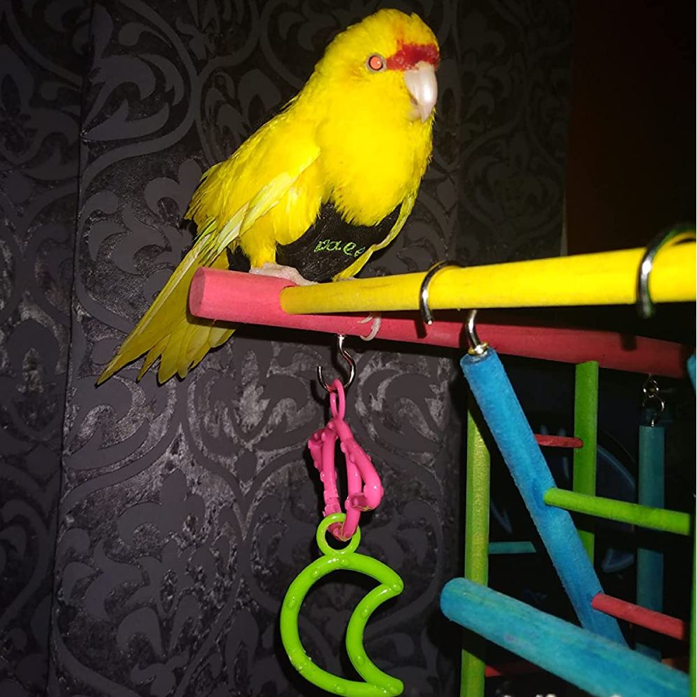 Bird Wooden Playpen: image 9