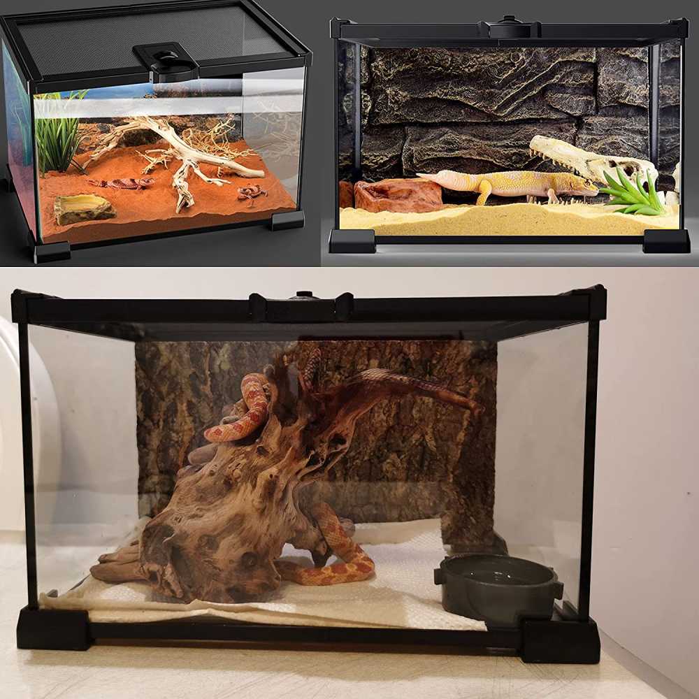 Mini Reptile Glass Terrarium Tank