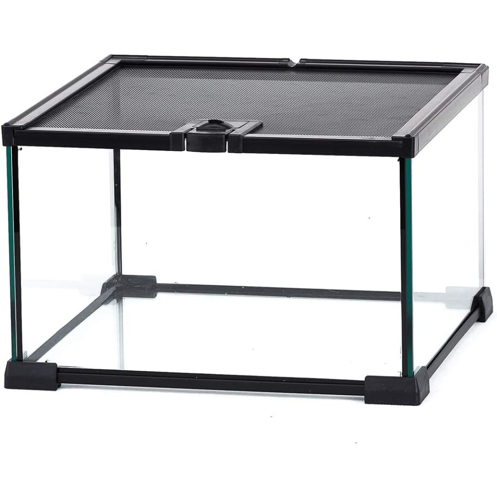 Mini Reptile Glass Terrarium Tank: image 7