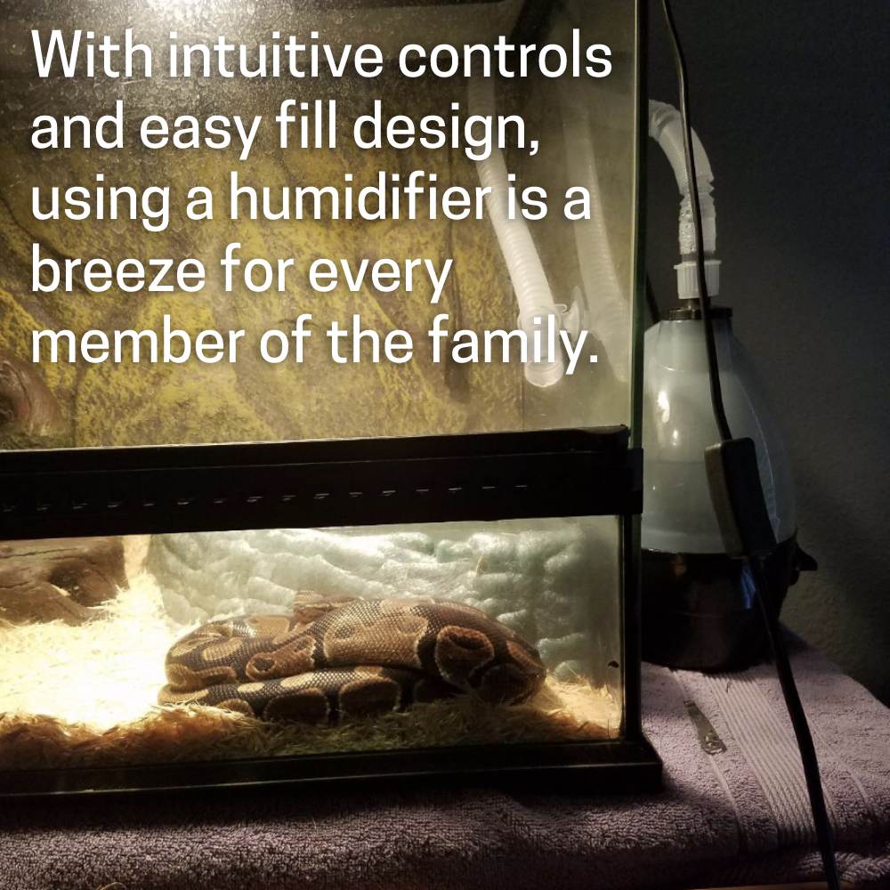 Reptile Humidifier: image 3