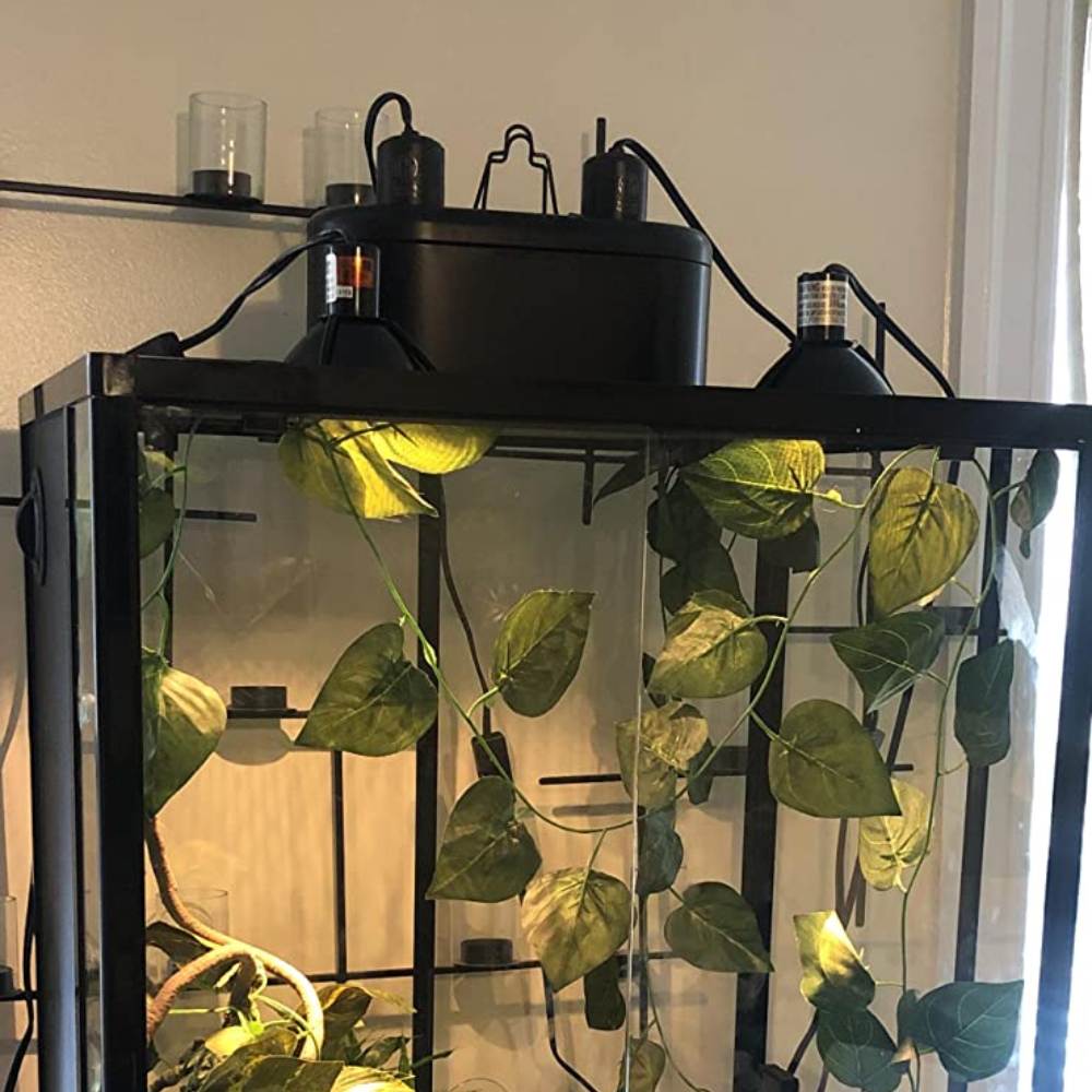 Reptile Light