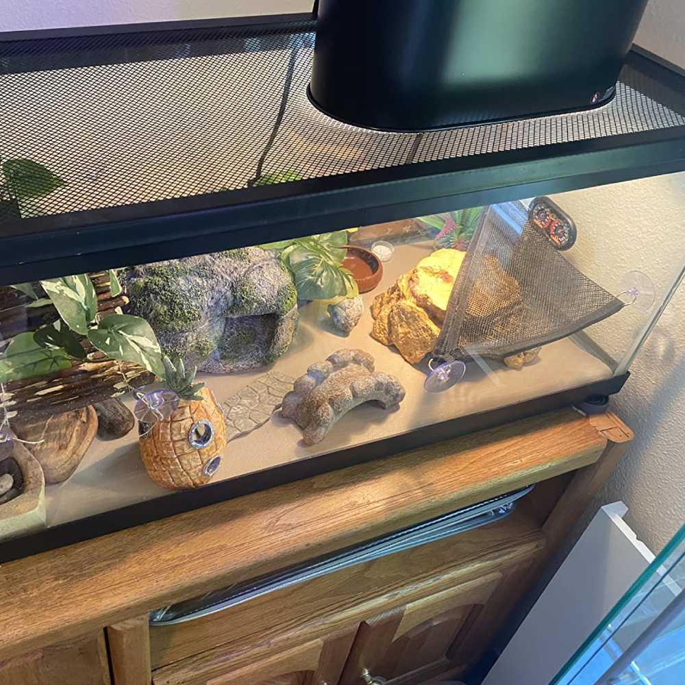 Reptile Light