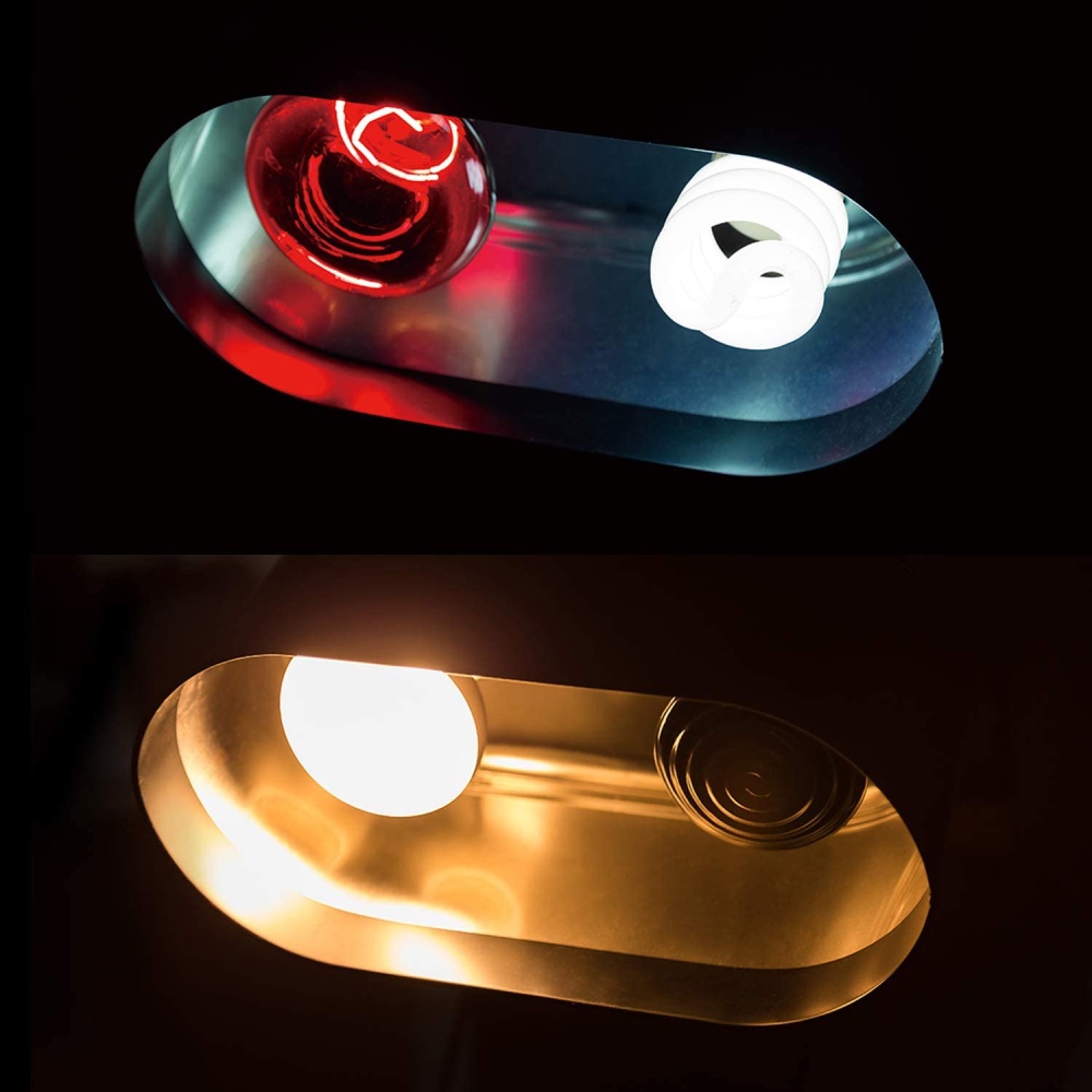 Reptile Light