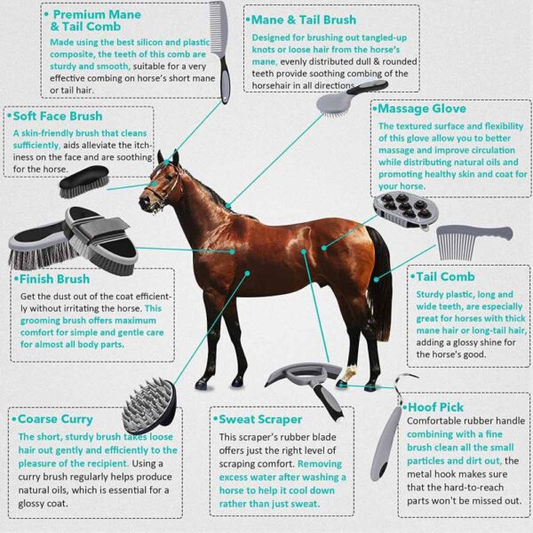 horse grooming kit sell online
