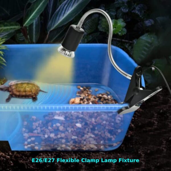 where to buy reptile heat lamp online